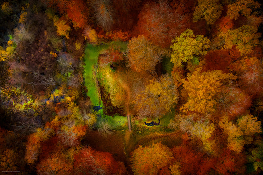 Moat dressed in orange