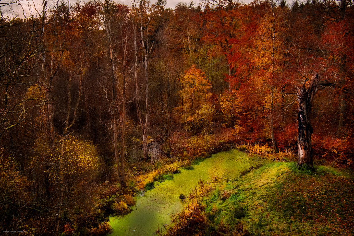 Moat dressed in orange II